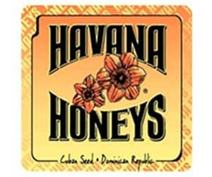 Havana Honeys